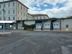 1#7971 Cessione di azienda dedita alla macellazione e commercializzazione di carni suine fresche e stagionate