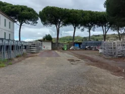 1#7971 Cessione di azienda dedita alla macellazione e commercializzazione di carni suine fresche e stagionate