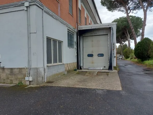 1#7971 Cessione di azienda dedita alla macellazione e commercializzazione di carni suine fresche e stagionate