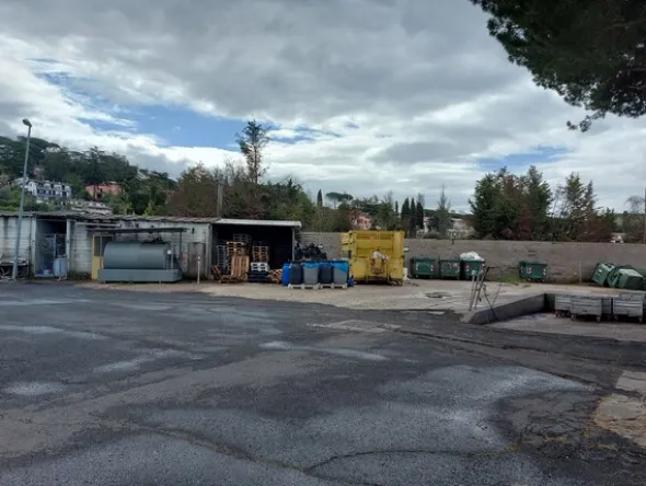 1#7971 Cessione di azienda dedita alla macellazione e commercializzazione di carni suine fresche e stagionate