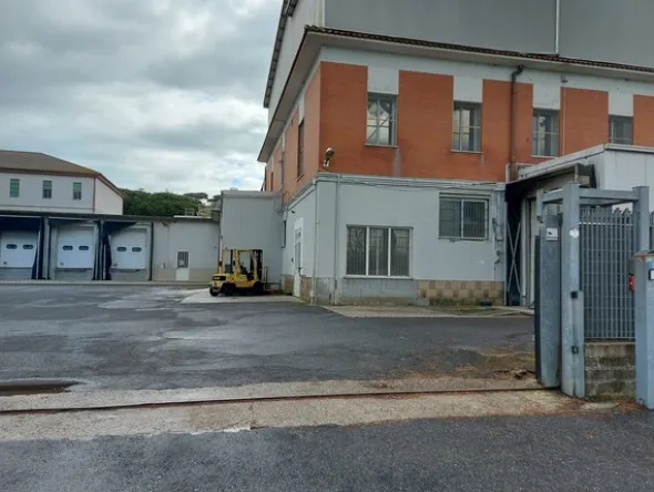1#7971 Cessione di azienda dedita alla macellazione e commercializzazione di carni suine fresche e stagionate