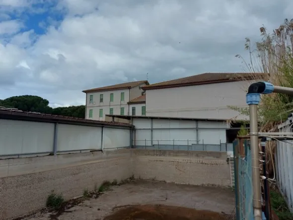 1#7971 Cessione di azienda dedita alla macellazione e commercializzazione di carni suine fresche e stagionate