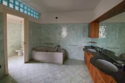#14776 Complesso artigianale con casa custode