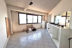 #24680 Complesso artigianale con capannoni e corte