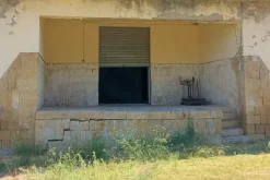 #21451 Complesso artigianale con cortile e pertinenze