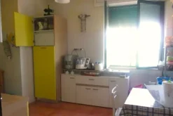 #21528 Complesso artigianale con cortile e pertinenze