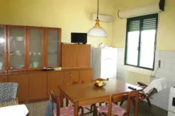 #21449 Complesso artigianale con cortile e pertinenze