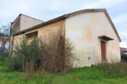 #19452 Complesso artigianale con cortile e pertinenze