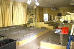 #2536000 Complesso artigianale con palazzina uffici