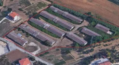 COMPLESSO AZIENDALE CON VARI CAPANNONI DA RECUPERARE