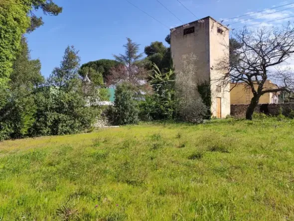 #18114 Complesso commerciale con pertinenze