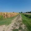 #21708 Complesso di aree agricole/edificabili