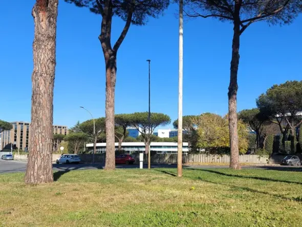 #22575 Complesso immobiliare direzionale