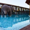 #15979 Complesso immobiliare ricettivo con abitazione ristorante piscina e sala ballo