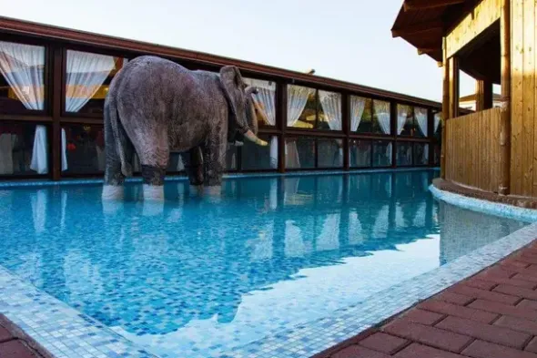 #15979 Complesso immobiliare ricettivo con abitazione ristorante piscina e sala ballo