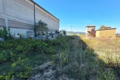 #21537 Complesso industriale ad uso opificio