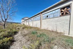 #21537 Complesso industriale ad uso opificio