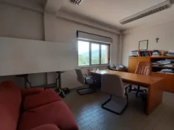 #18482 Complesso industriale con uffici, laboratorio/magazzino, tettoia, piazzali e terreni edificabili