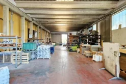#20883 Complesso produttivo con capacità edificatoria residua