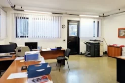 #20883 Complesso produttivo con capacità edificatoria residua
