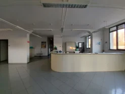 #14858 Complesso produttivo con terreno di pertinenza