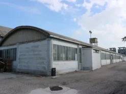 #14420 Complesso produttivo con terreno edificabile
