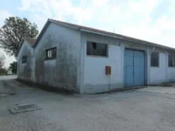 #14420 Complesso produttivo con terreno edificabile
