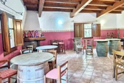 #2535007 Complesso ricettivo con piscina e maneggio