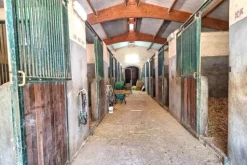 #2535007 Complesso ricettivo con piscina e maneggio