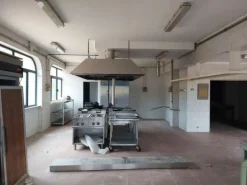 #19584 Complesso ricettivo con piscina