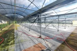#24370 Complesso rurale con fotovoltaico e mobili