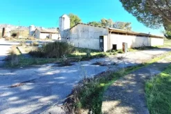 #25013 Complesso zootecnico con impianti e strutture