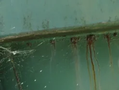 2081#3561 Container con coperchio BTE