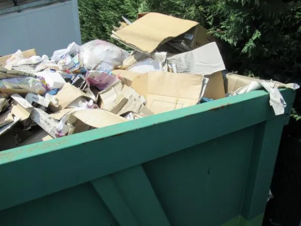 2032#3561 Container Locatelli Eurocontainers