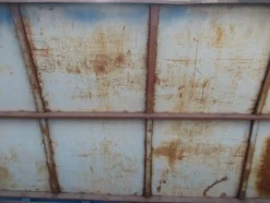 2019#3561 Container LOGOcon coperchio