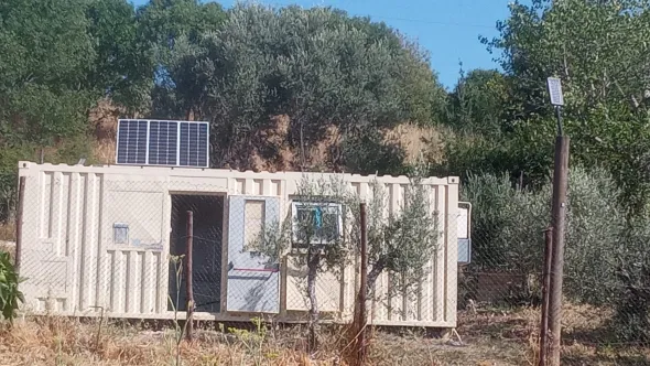 Container uso ufficio in ottimo stato