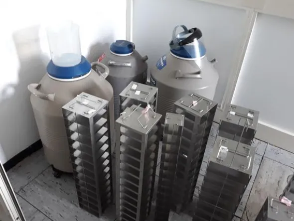 14#3675 Crioconservatore per azoto liquido MVE XLC-500