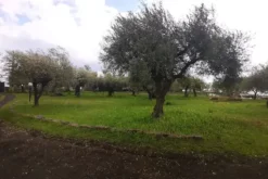 #20354 Depositi con terreno