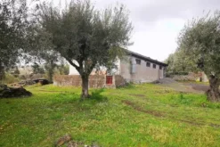 #20354 Depositi con terreno