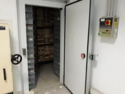 26#3675 Dispenser e lavatore per provette Corima