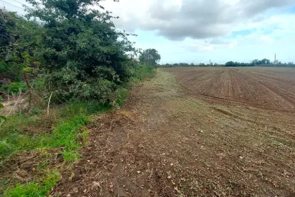 #24733 Due appezzamenti agricoli in zona rurale