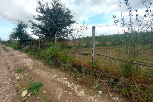 #24733 Due appezzamenti agricoli in zona rurale