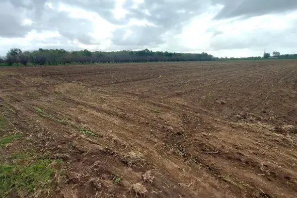 #24733 Due appezzamenti agricoli in zona rurale