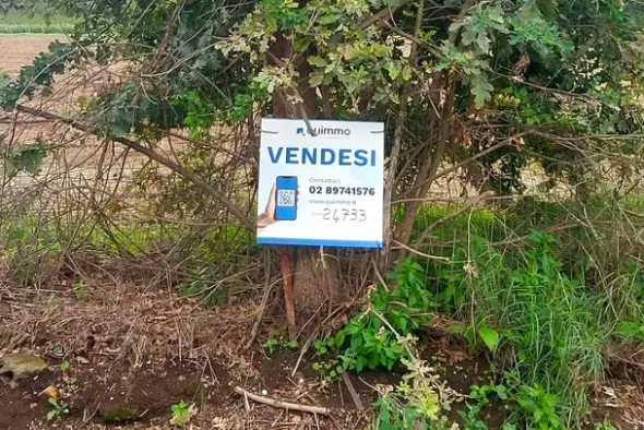 #24733 Due appezzamenti agricoli in zona rurale