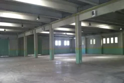 #1274 Due capannoni con uffici e cortile esclusivo