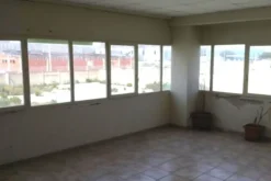#1274 Due capannoni con uffici e cortile esclusivo