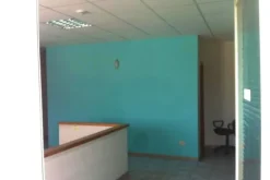 #1274 Due capannoni con uffici e cortile esclusivo