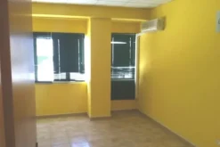 #1274 Due capannoni con uffici e cortile esclusivo