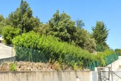 #24126 Due frustoli di terreno in zona residenziale