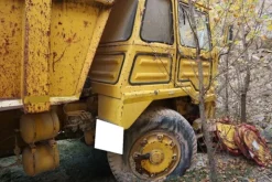 3#6967 Dumper Perlini